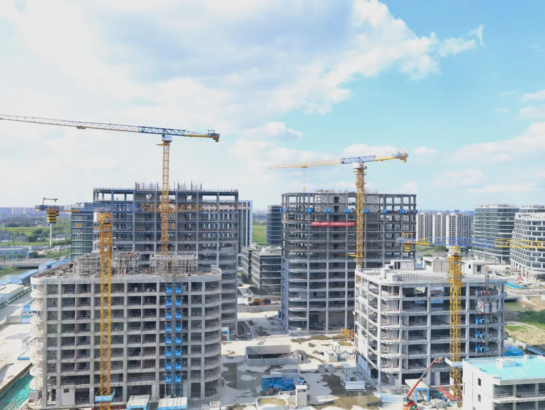 同心同向 造炬成阳 | 新宝会2024年第三季度动态速览 同心同向 造炬成阳 | 新宝会2024年第三季度动态速览